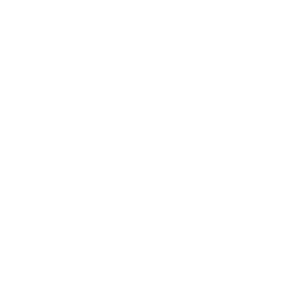 organogram